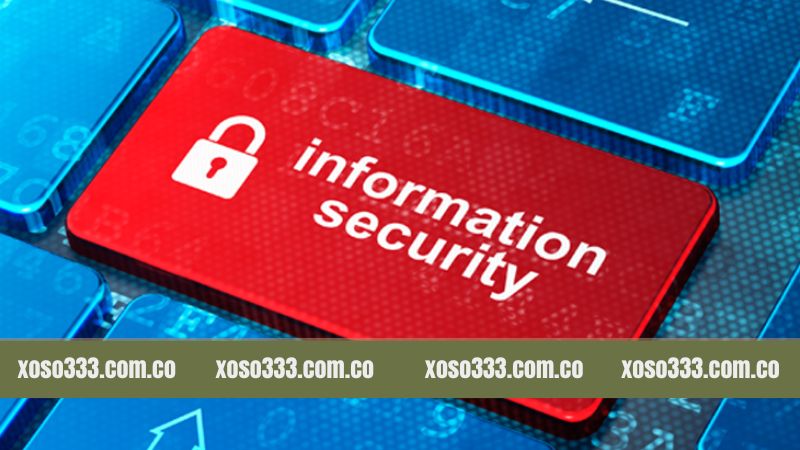 Tổng quan thông tin cơ bản của chính sách phổ biến nhất 